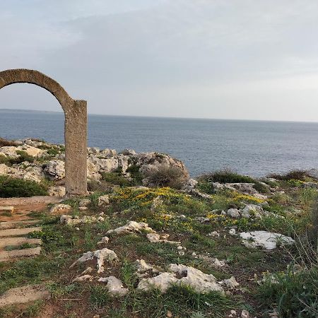 Grupoandria Villa Julia Cala en Forcat Eksteriør billede